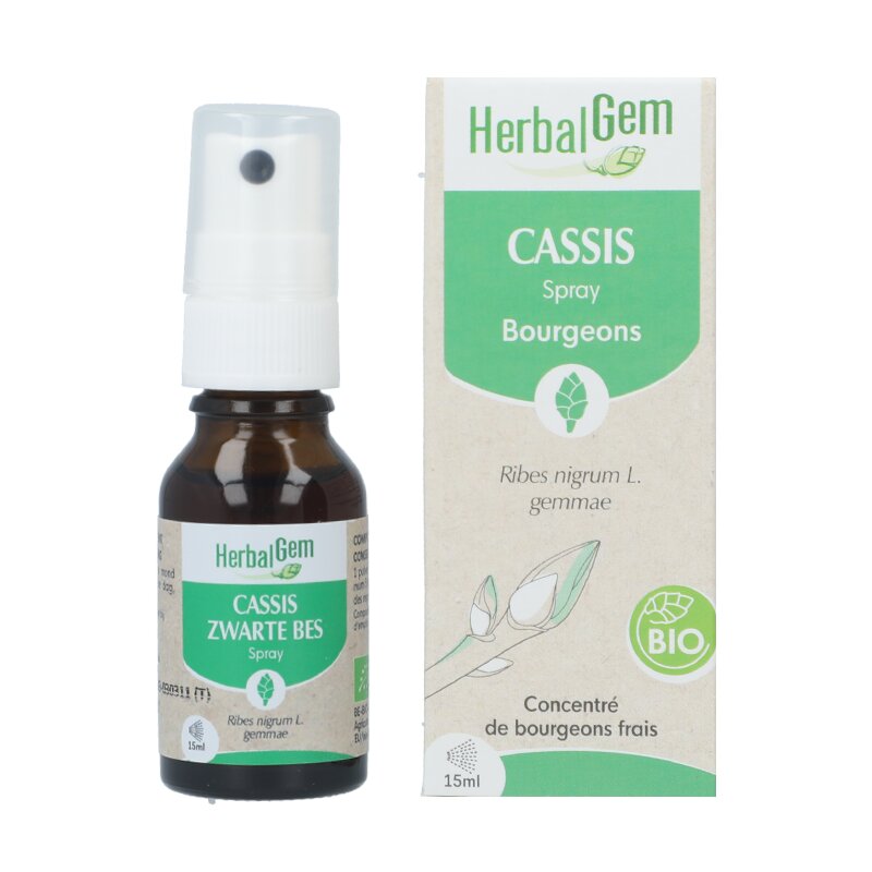 Macérat Cassis - Herbalgem